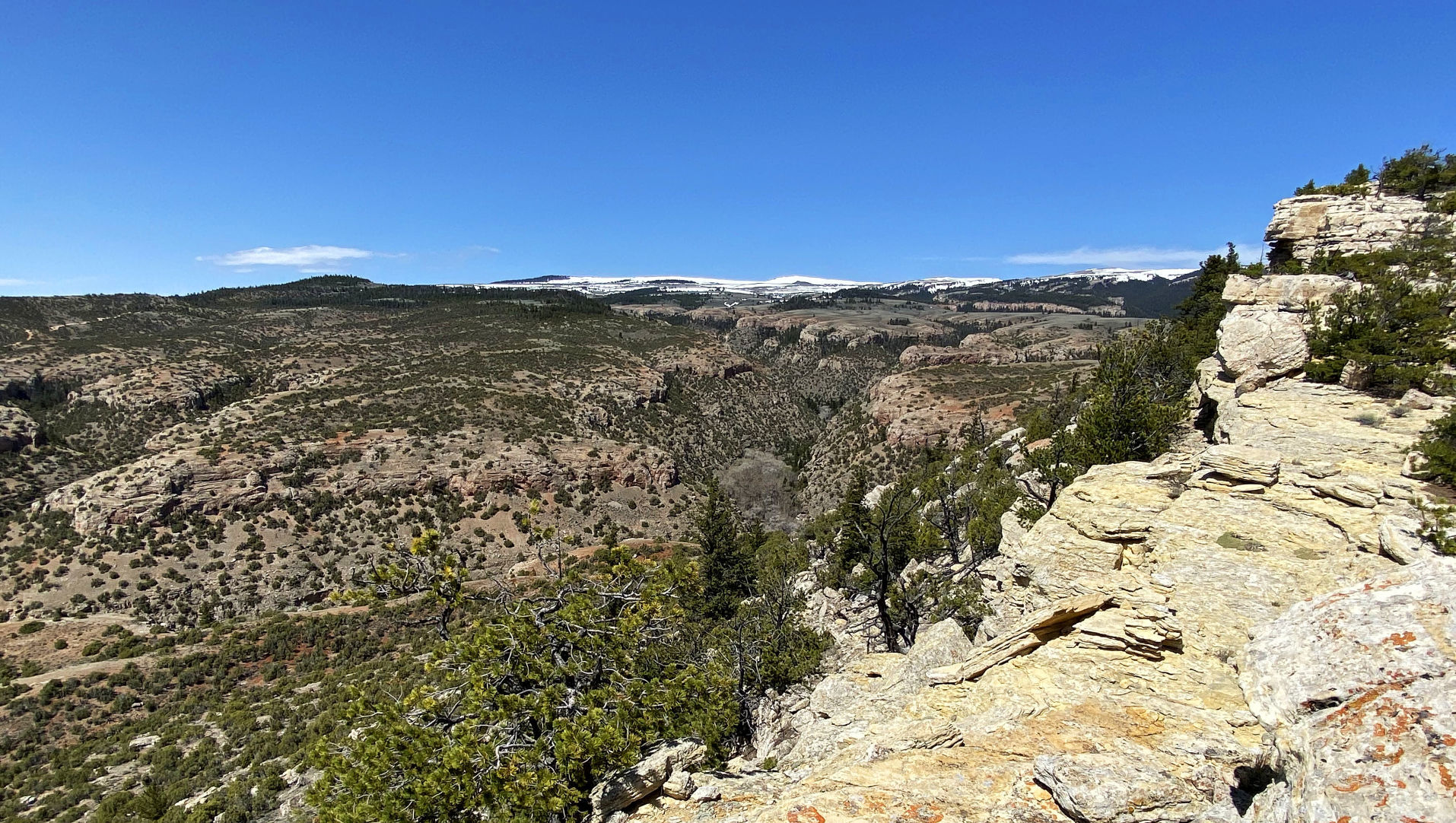 Bear Canyon